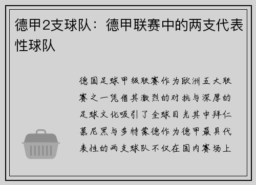 德甲2支球队：德甲联赛中的两支代表性球队